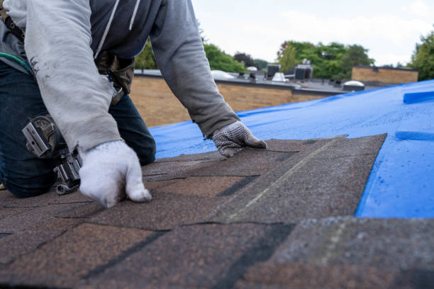 Best Storm Damage Roof Repair  in Palo Cedro, CA